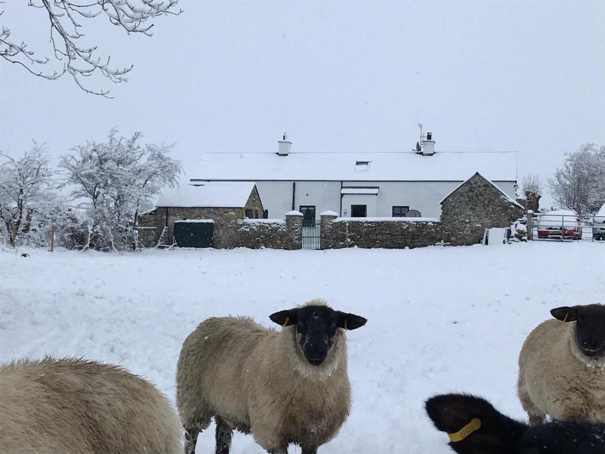 Mournes Family Cottage With Hot Tub Hilltown Extérieur photo