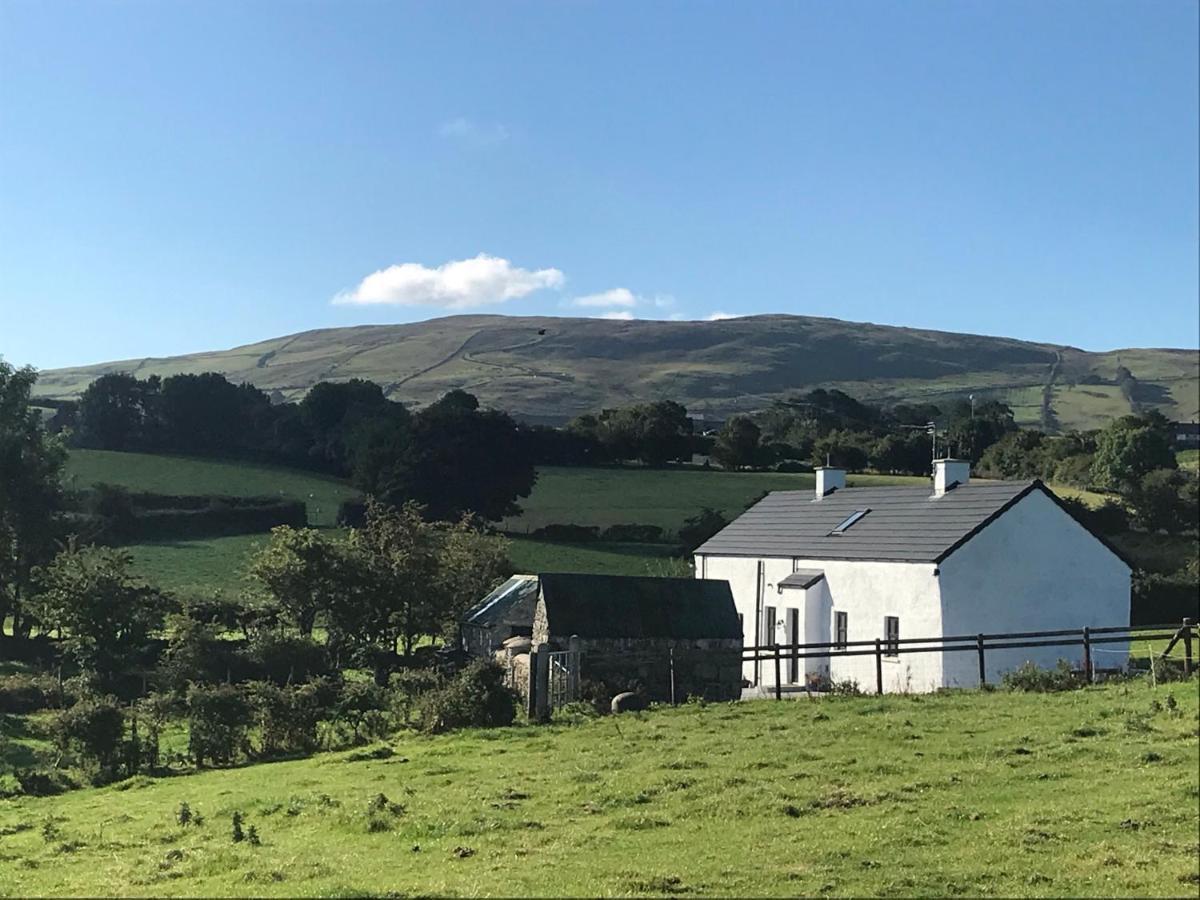 Mournes Family Cottage With Hot Tub Hilltown Extérieur photo