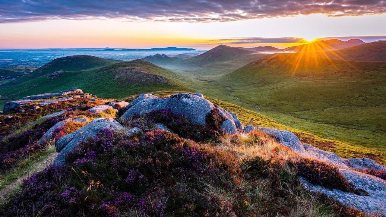 Mournes Family Cottage With Hot Tub Hilltown Extérieur photo